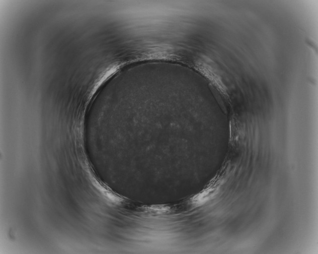 X0000097670156200802291508