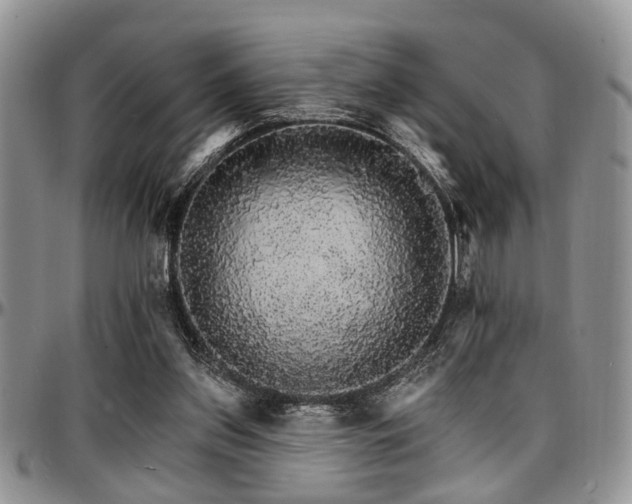 X0000097670157200802291508
