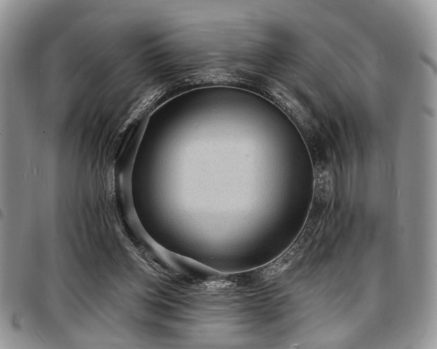 X0000097670158200802291508