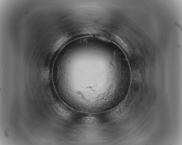 X0000097670159200802291508