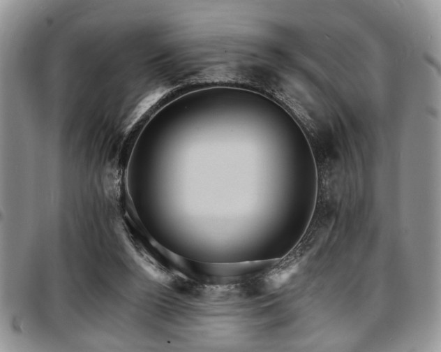 X0000097670160200802291508