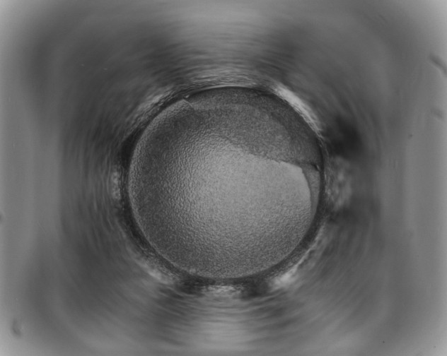 X0000097670161200802291508