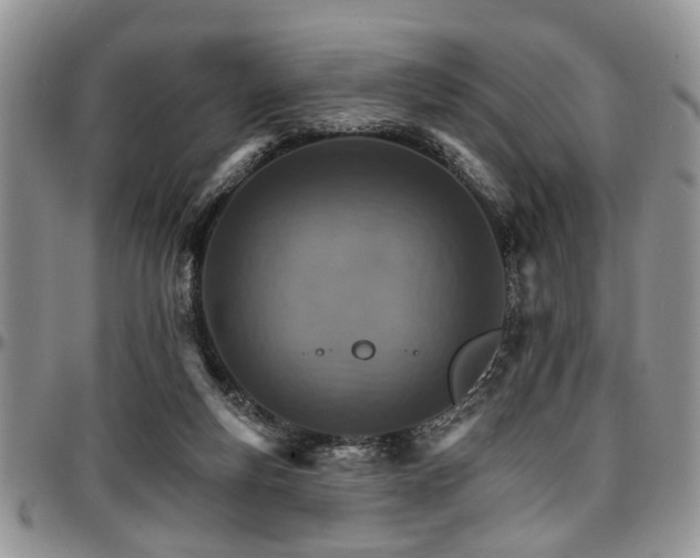 X0000097670163200802291508