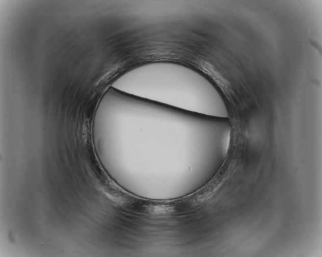 X0000097670165200802291508