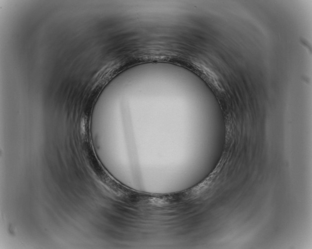 X0000097670166200802291508