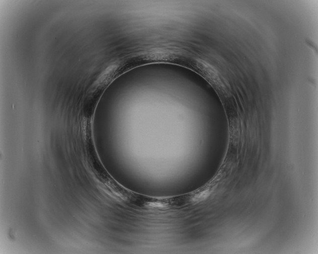 X0000097670167200802291508