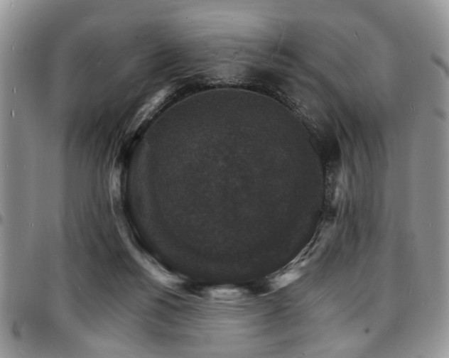 X0000097670168200802291508