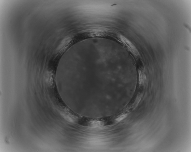 X0000097670169200802291508