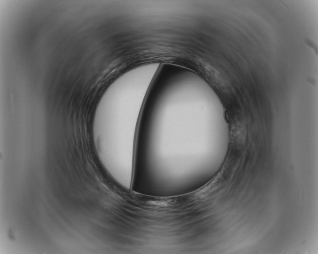 X0000097670170200802291508
