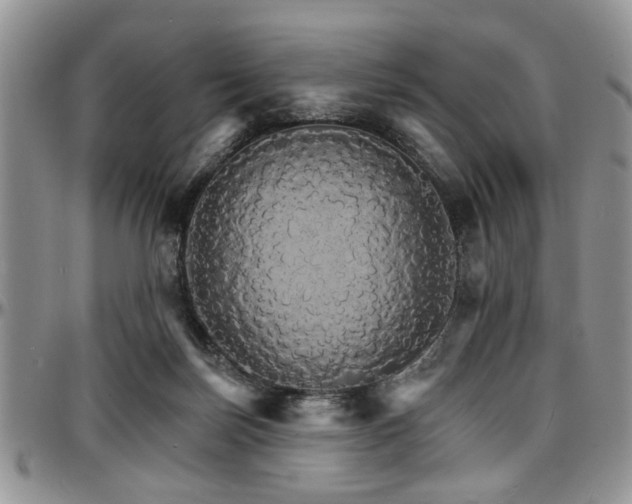 X0000097670171200802291508