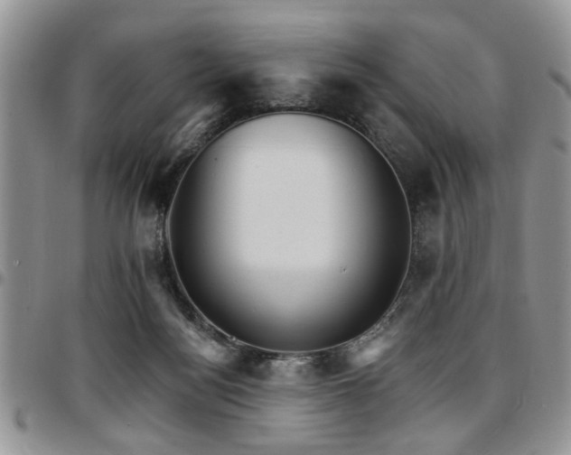 X0000097670172200802291508