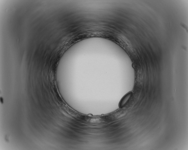 X0000097670173200802291508