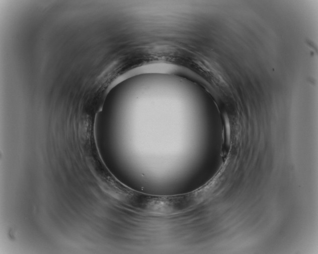 X0000097670174200802291508