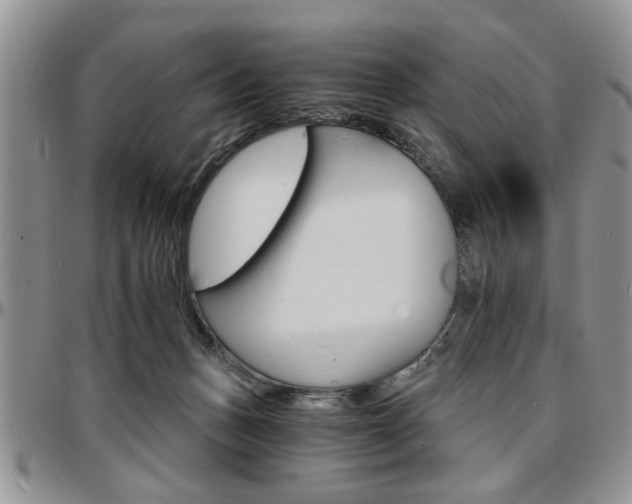 X0000097670175200802291509