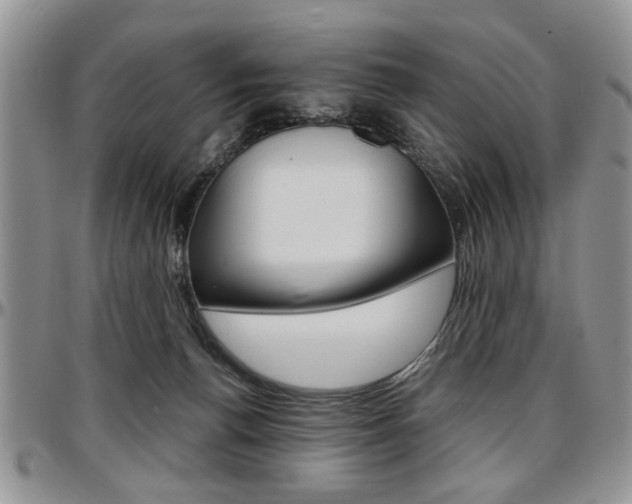 X0000097670176200802291509