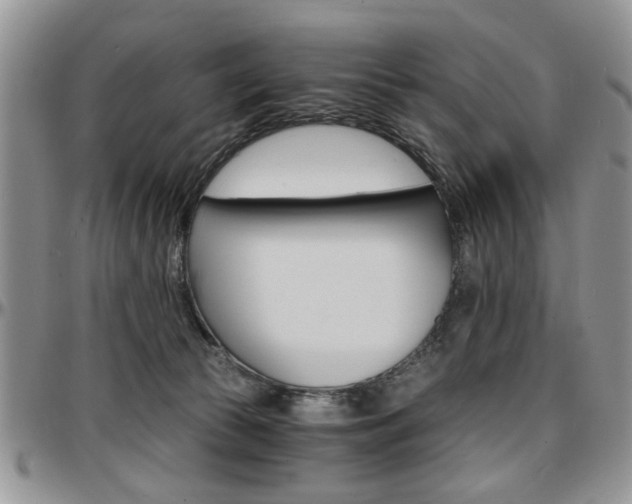 X0000097670177200802291509