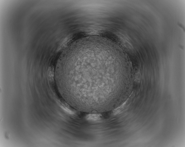 X0000097670179200802291509