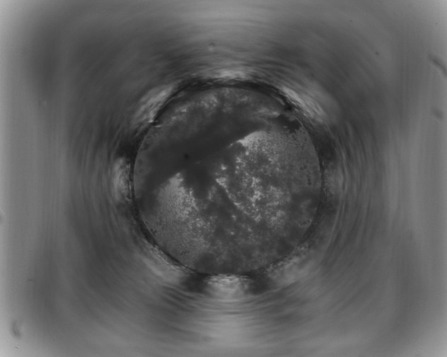 X0000097670181200802291509