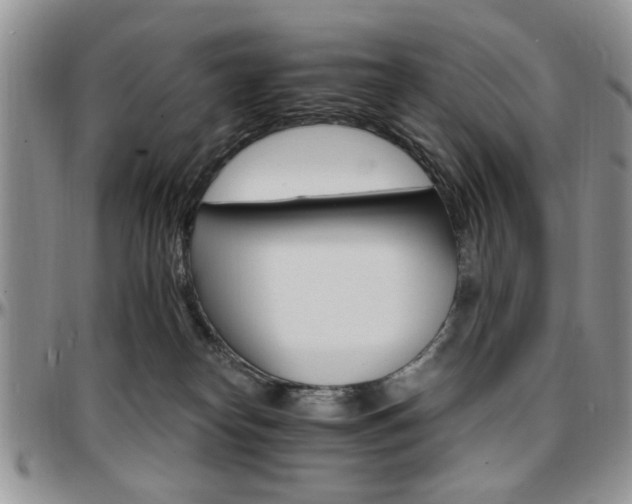 X0000097670182200802291509