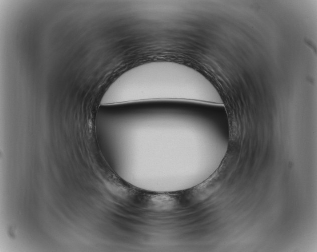 X0000097670183200802291509