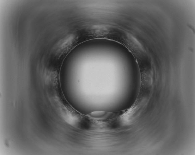 X0000097670184200802291509