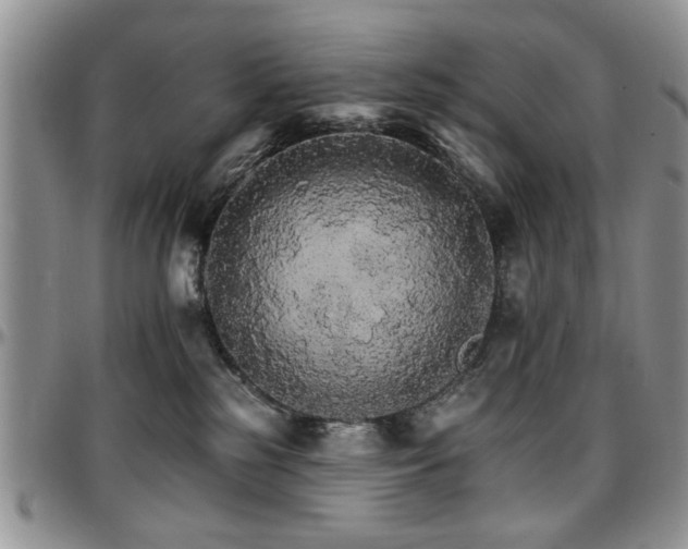X0000097670185200802291509