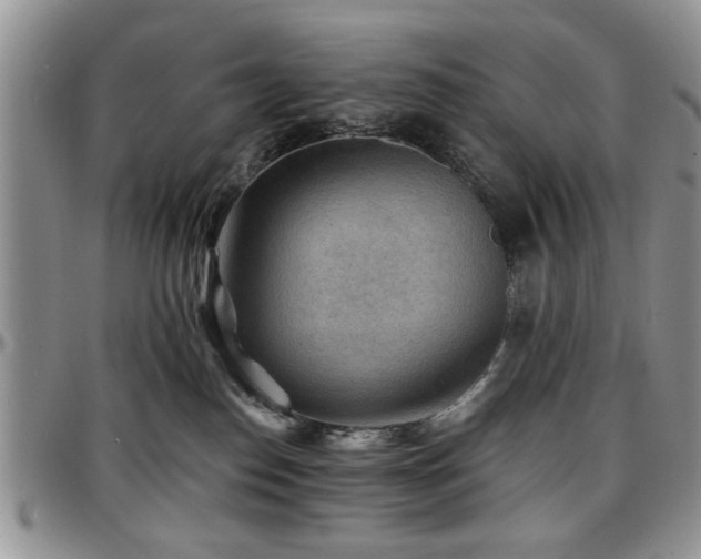 X0000097670186200802291509