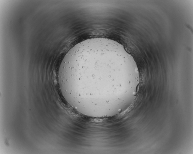 X0000097670187200802291509