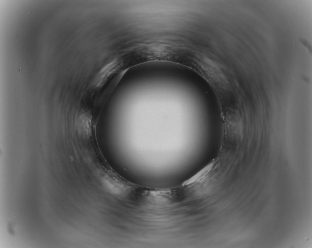 X0000097670188200802291509
