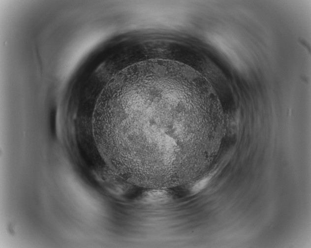 X0000097670189200802291509