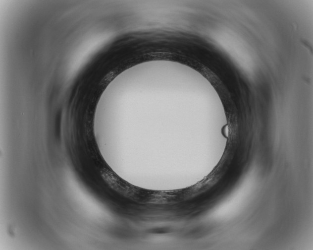 X0000097670190200802291509
