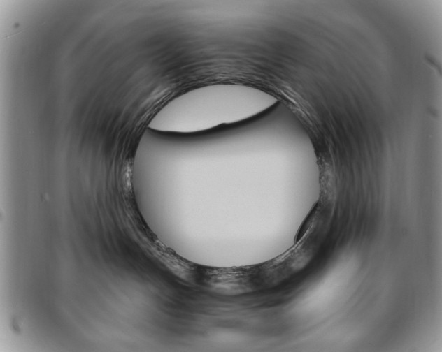X0000097670191200802291509