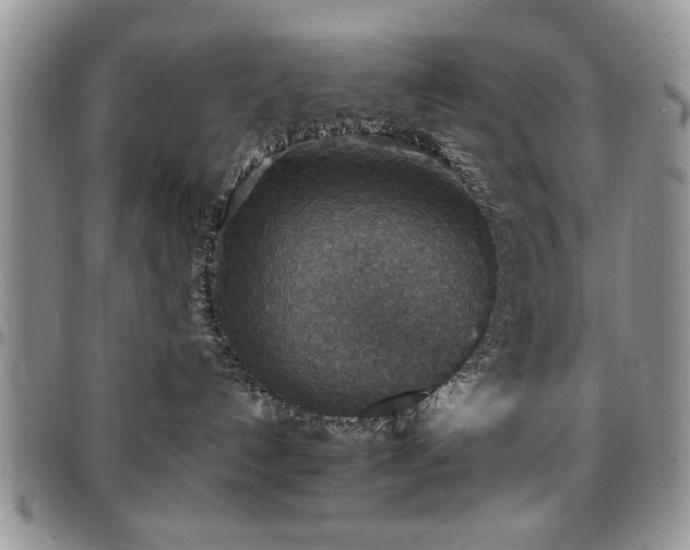 X0000097670192200802291509