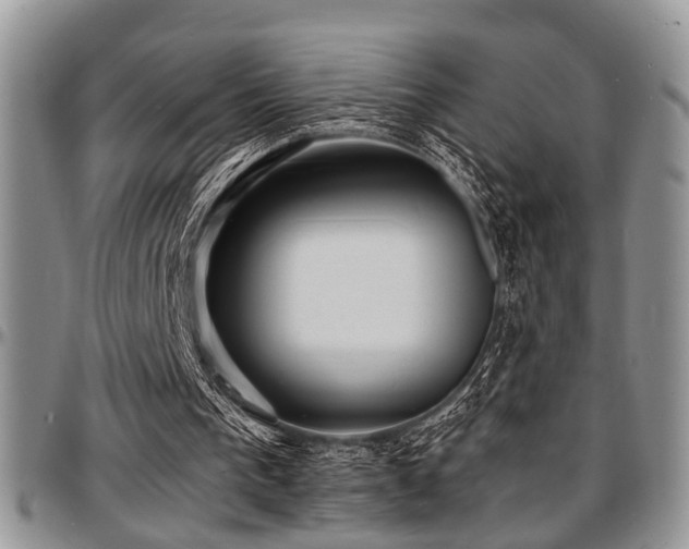 X0000097670193200802291508