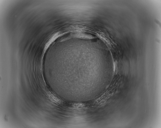 X0000097670195200802291508