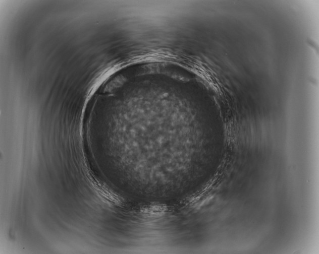 X0000097670196200802291508
