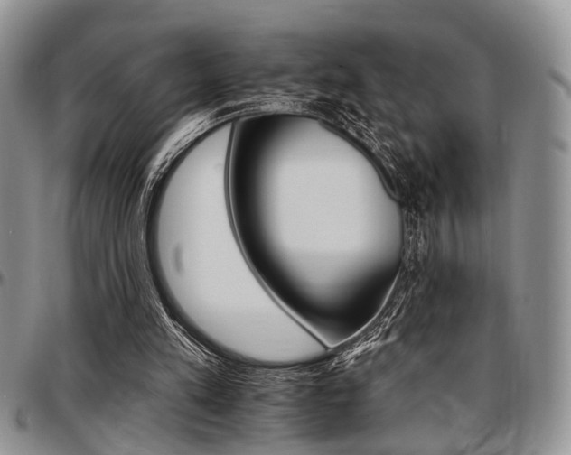 X0000097670197200802291508