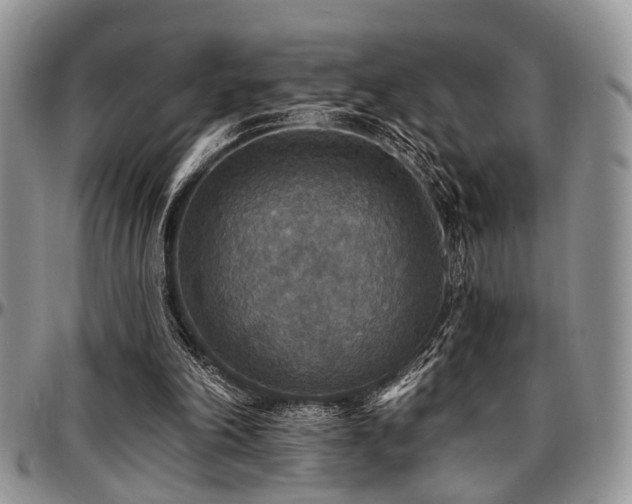 X0000097670198200802291508