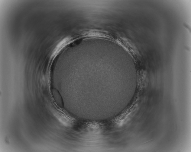 X0000097670199200802291508