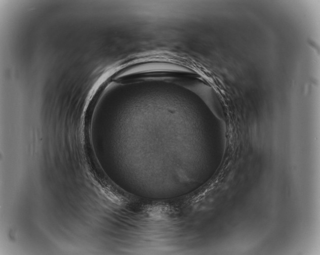 X0000097670200200802291508