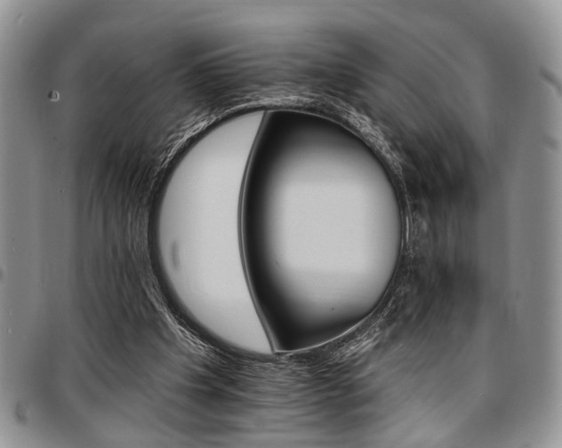 X0000097670201200802291508