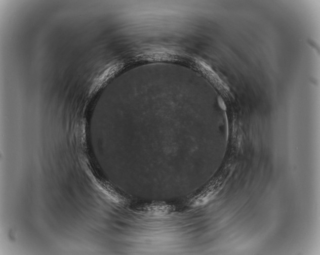 X0000097670202200802291508