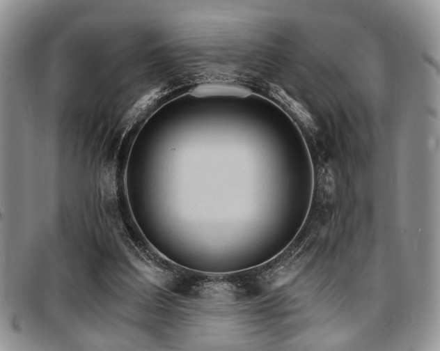 X0000097670203200802291508