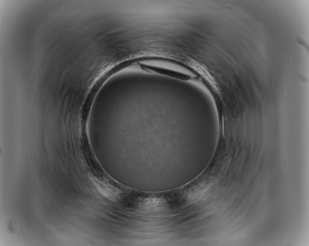 X0000097670204200802291508
