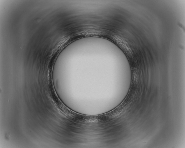 X0000097670206200802291508