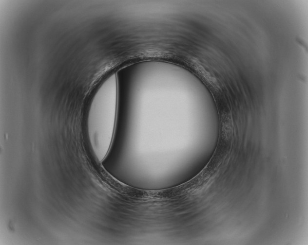 X0000097670207200802291508