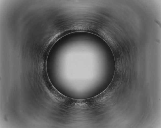 X0000097670208200802291508