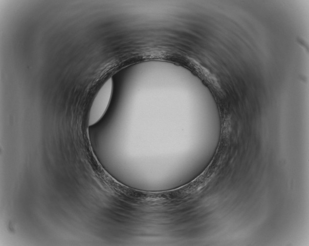X0000097670209200802291508