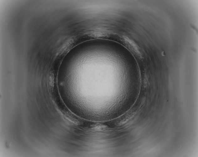 X0000097670210200802291508