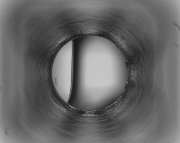 X0000097670211200802291508